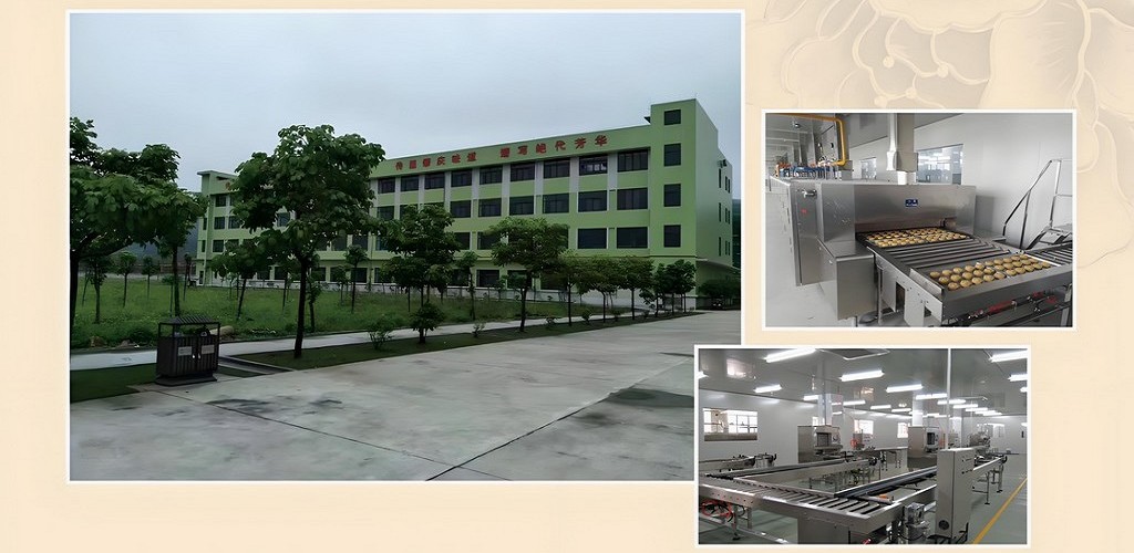 Single building production workshop, fully enclosed GMP factory building