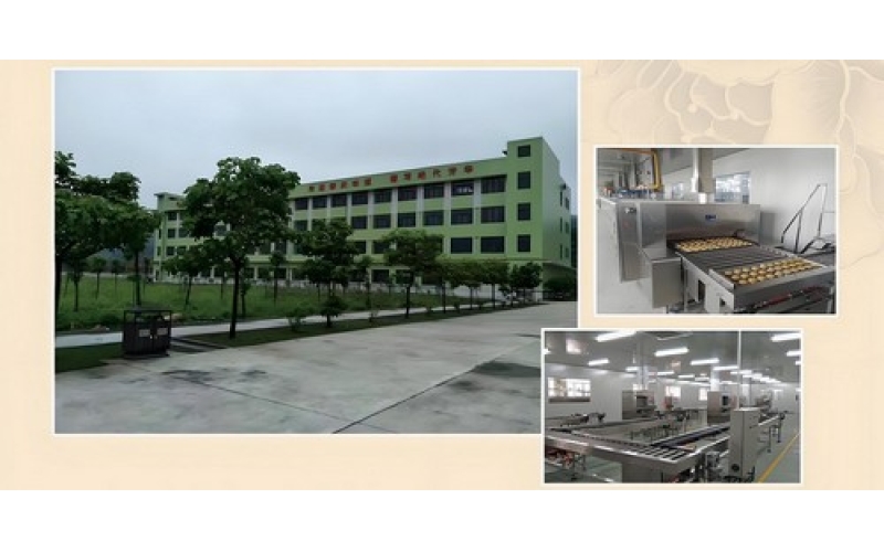 Single building production workshop, fully enclosed GMP factory building